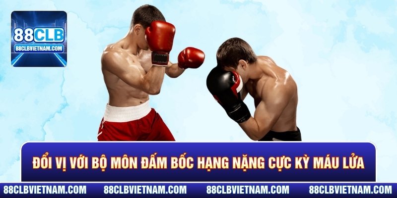 Đổi vị với bộ môn đấm bốc hạng nặng cực kỳ máu lửa