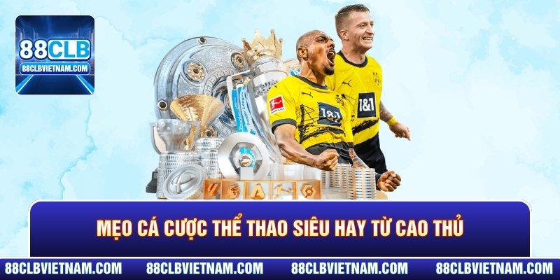 Mẹo cá cược thể thao siêu hay giúp bạn không bị cháy túi