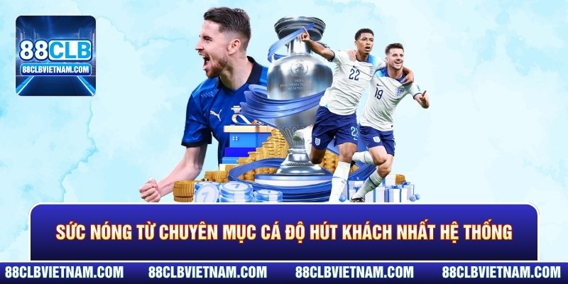 Sức nóng từ chuyên mục cá độ hút khách nhất hệ thống