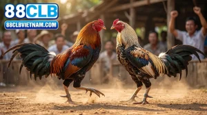 thumbnail huong dan choi da ga an tien tai 88clb cho tan thu