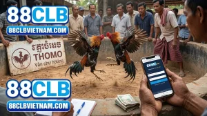 thumbnail huong dan choi da ga thomo 88clb chi tiet cho tan