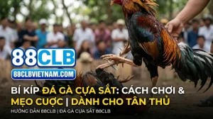 thumbnail meo va cach choi da ga cua sat 88clb cho nguoi moi