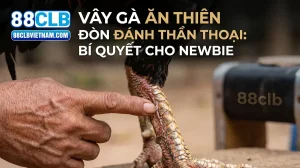 thumbnail vay ga an thien don danh than thoai bi quyet cho n