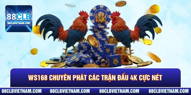 WS168 chuyên phát các trận đấu 4K cực nét